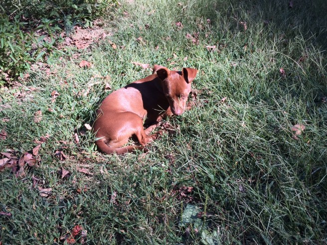 054A84EC-3876-4776-9C27-4F8DD91CDD7B