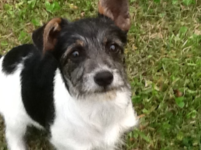 D4653154-917E-4E72-AED2-EB8F413ACC08